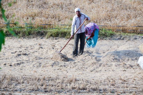 In India, a devastating harvest season for northern farmers puts lives at risk