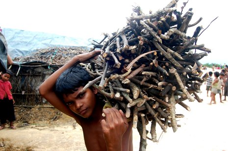 <p>A Rohingya child returns with firewood to a refugee camp in Bangladesh (Photo courtesy of UNHCR)</p>