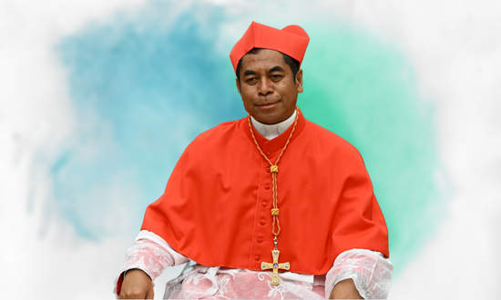 Cardinal Da Silva