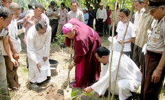 Youths plant '1000 trees' initiative