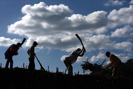 Philippine sugar farmers' Fair Trade attempts risk death
