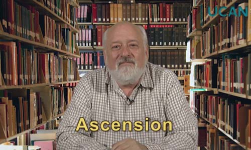Ascension Gospel Reflection by Fr Bill Grimm