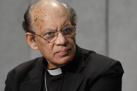 Bishops worldwide plead for climate change action