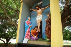 Thousands of Catholics go on pilgrimage in Sri Lanka
