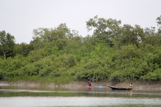 Loss of natural land puts Bangladesh at risk 