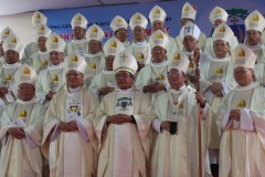 Vietnamese bishops journey with young families