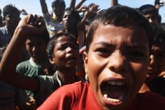 Repatriation plan stalls as Rohingya refuse to return to Myanmar 
