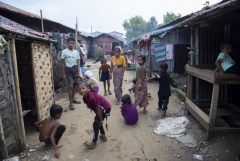 No alternatives to resettlement for Rohingya in Rakhine