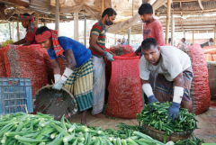 Covid-19 chokes farmers, traders in Bangladesh