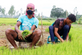 Indigenous Church looks to farms for self-reliance in Bangladesh