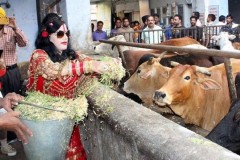 South Indian state passes cattle slaughter act