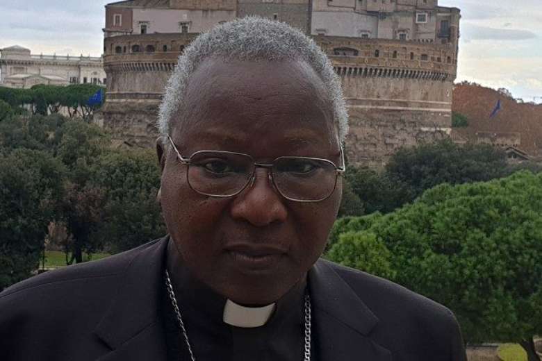 African cardinal calls for resistance to 'foreign ideologies'