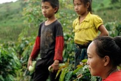 Suffer the children: Laos does little to tackle child labor