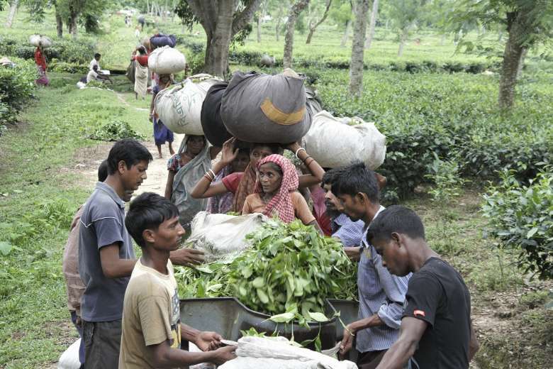 Bangladeshi tea workers angry over new terms