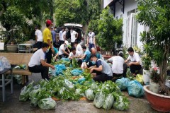 Vietnam Catholics urged to feed and console Covid victims