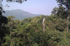 Thai forest park gets UNESCO nod despite rights warning