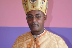 Bishop calls for end to bombings in Ethiopia's Tigray region