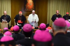 Indian bishops' body launches synodal process for laity