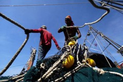 US urged to stop importing fishing nets from Thailand