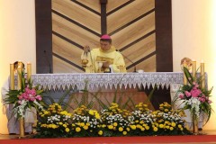 Pope Francis names bishop to Vietnam diocese