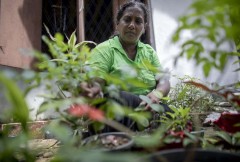 WFP launches emergency food aid scheme in Sri Lanka