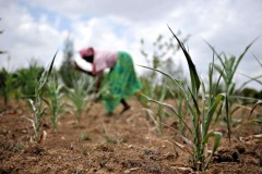 Priests describe famine danger in Kenya as bishops launch aid appeal