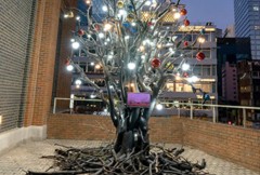 Korea’s ‘Black’ Christmas tree highlights climate crisis
