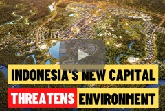 Plans for new Indonesian capital threaten Earth's ancient Eden