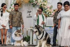 Indonesian priest criticized for 'blessing' dog wedding