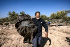 Activist rabbi aids West Bank farmers amid Israeli settler violence