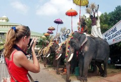 Indian Church leader urges govt to save people from elephant attacks