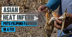 Filipino farmers fight heatwave to save crops, livelihood