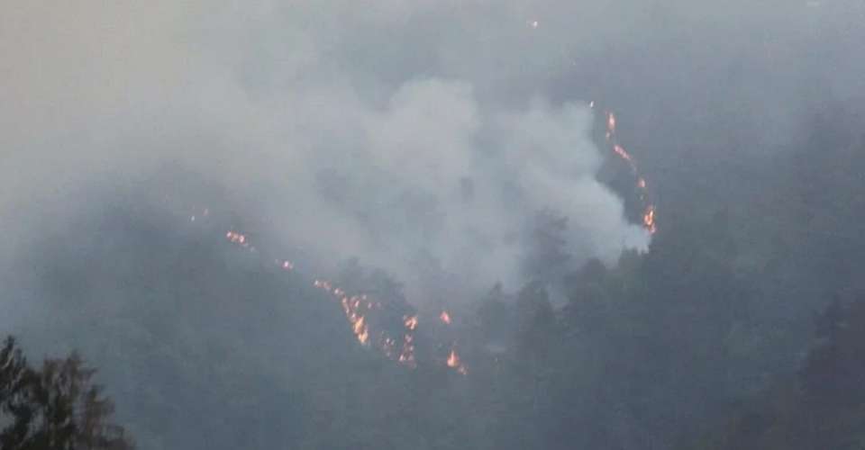Japan urges 400 to evacuate over forest fire